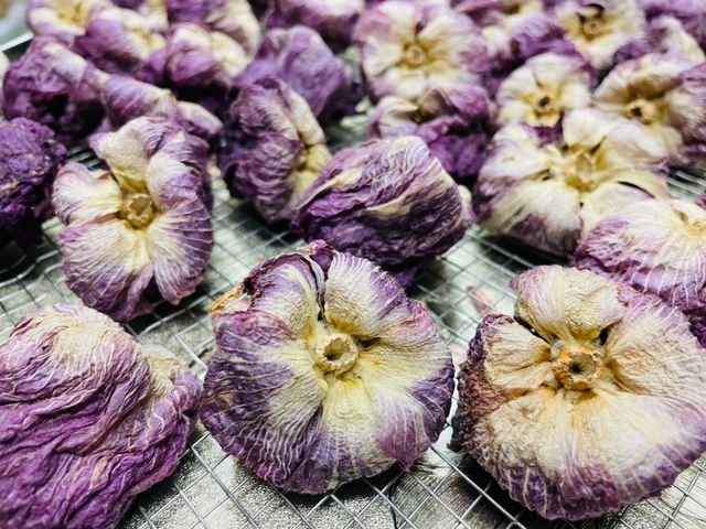 【台中東勢 有機芙蓉花茶】花香溫潤，清心養身