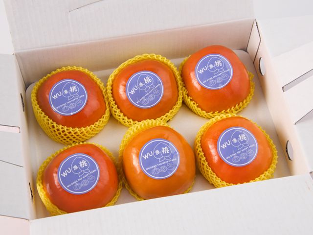 【採收中！秋季限定 東勢大雪山甜柿6入禮盒(6A~10A)】 脆甜飽滿的高山甜柿