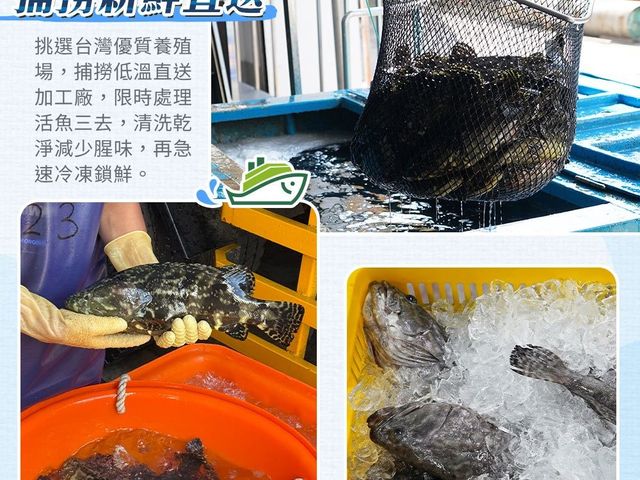 【年菜首選 金燦龍虎斑炊粉鍋】榮獲2025海宴水產精品獎