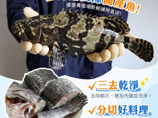 【年菜首選 金燦龍虎斑炊粉鍋】榮獲2025海宴水產精品獎