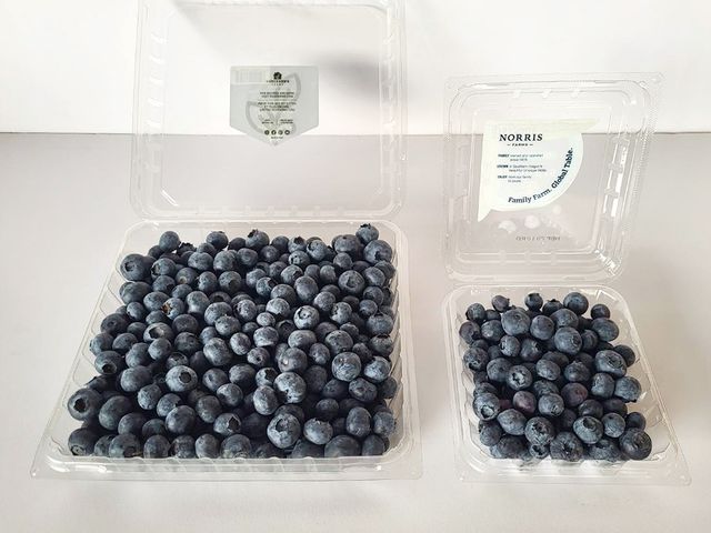 【美式賣場大盒裝！秘魯 新鮮藍莓510g】充滿花青素 微酸甜 OL的好伙伴