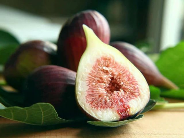 【產地直送 藍帶無花果】彷彿樹上熟成的蜜糖 每一口都是奢華