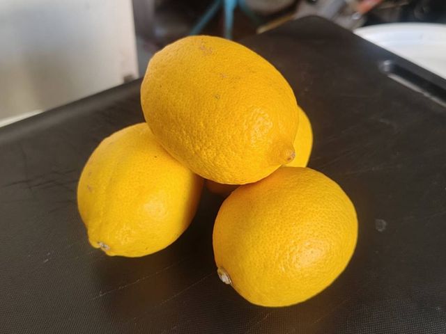 【鮮榨好滋味！台灣產地直送！綜合檸檬 5 斤裝】無籽+黃檸檬 二種風味一次滿足