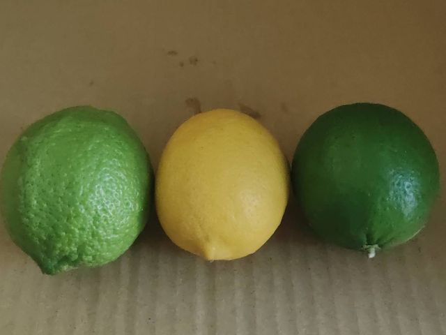 【鮮榨好滋味！台灣產地直送！綜合檸檬 5 斤裝】無籽+黃檸檬 二種風味一次滿足