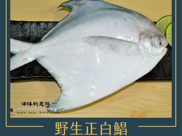 【海味澎湃雙享組！船凍天使紅蝦（2包）＋ 頂級白鯧魚（2包）】海鮮盛宴一次到位！