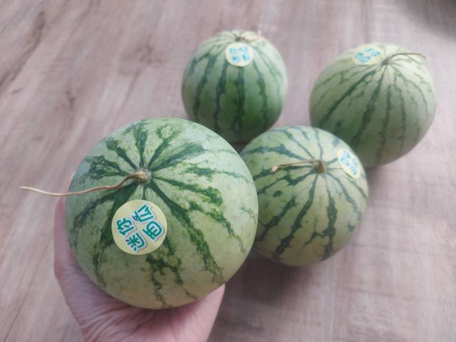 【日本療癒系！迷你小西瓜5kg(約8~12顆)】小巧可愛一手掌握