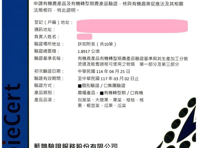 【採收中！屏東九如 有機橙蜜香/玉女小番茄】酸甜多汁、自然回甘，一口就愛上！