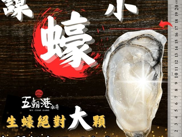 【嚐鮮包！韓國半殼生蠔  8顆裝】尺寸(含殼) 15±2公分 海中牛奶
