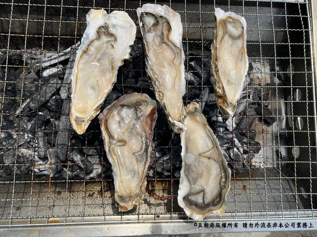 【嚐鮮包！韓國半殼生蠔  8顆裝】尺寸(含殼) 15±2公分 海中牛奶