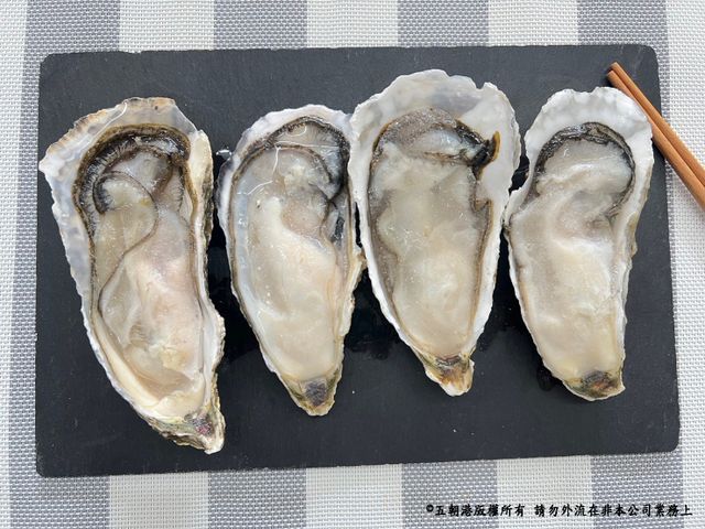 【嚐鮮包！韓國半殼生蠔  8顆裝】尺寸(含殼) 15±2公分 海中牛奶