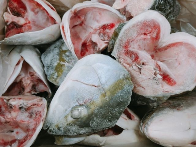 【日本鹿耳島青魽魚頭丁x1包(450g/包)】日本幕府將軍的御用魚種