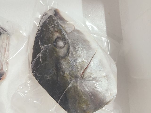【日本鹿耳島青魽魚頭丁x1包(450g/包)】日本幕府將軍的御用魚種