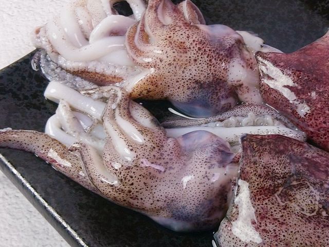 【特級船凍透抽x1包(550g)】急速冷凍鎖住鮮度 肉質鮮嫩Q彈