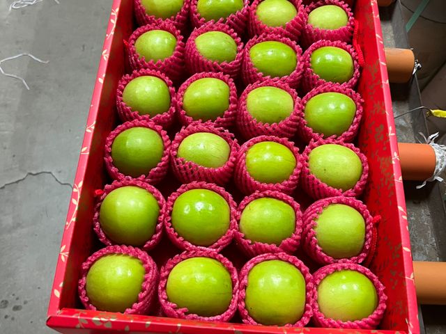 【搶先開吃！屏東內埔 牛奶蜜棗】別家還在預購，我們「現貨供應中」！