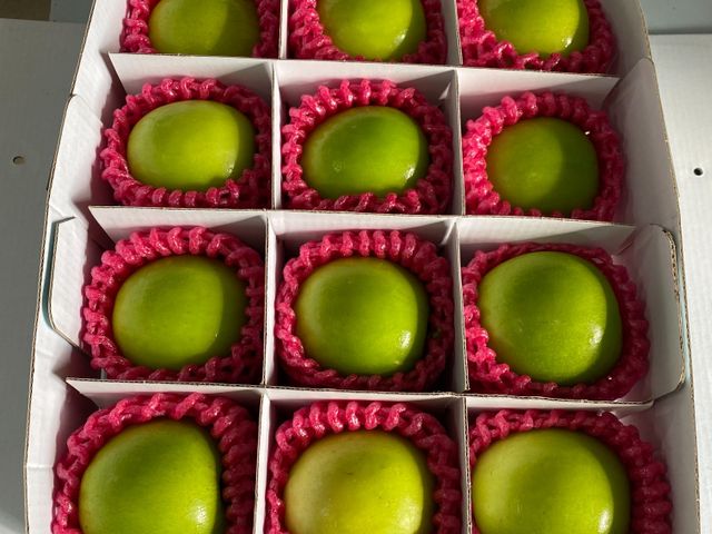 【搶先開吃！屏東內埔 牛奶蜜棗】別家還在預購，我們「現貨供應中」！