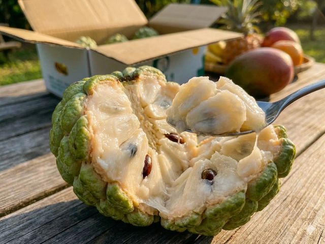 【採收囉！釋迦界的人氣王 台東大目釋迦】傳承 50 年的甜蜜，每一口都是台東陽光的味道