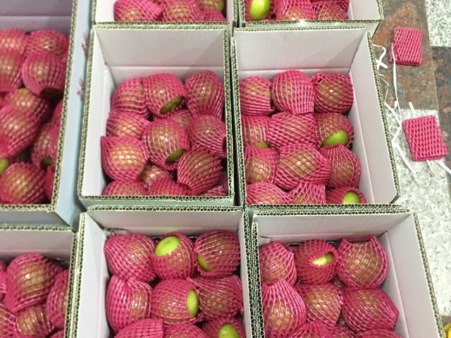 【1月中出貨！爆漿雪梨蜜棗】比梨子還脆 咖滋咖滋的絕妙口感！