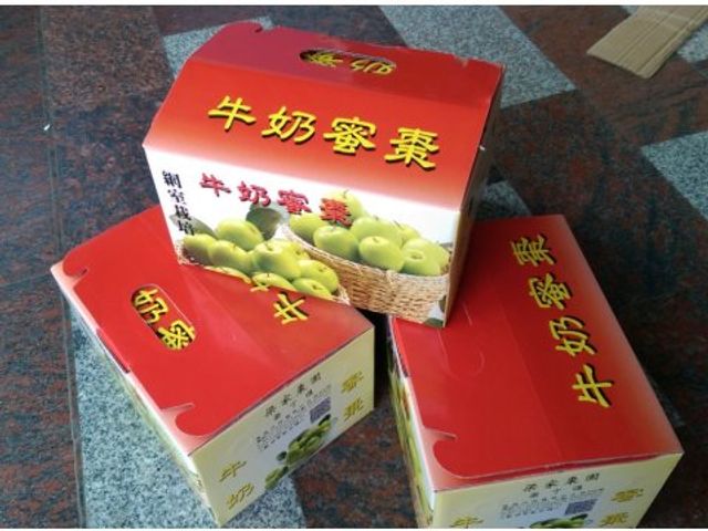 【1月中出貨！爆漿雪梨蜜棗】比梨子還脆 咖滋咖滋的絕妙口感！