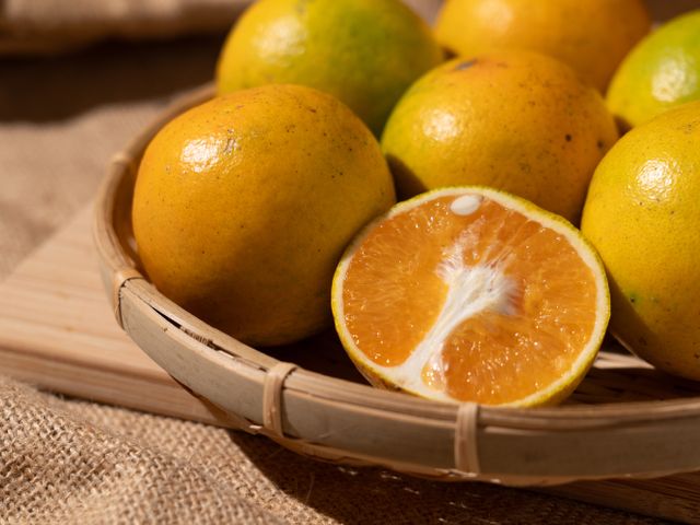 【全新品種首登場！新竹新埔 獨特風味金桔橙】金桔 × 柳丁的黃金交會，一口就被圈粉！