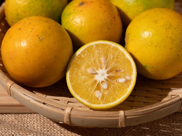 【全新品種首登場！新竹新埔 獨特風味金桔橙】金桔 × 柳丁的黃金交會，一口就被圈粉！