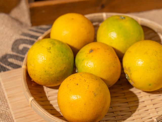 【全新品種首登場！新竹新埔 獨特風味金桔橙】金桔 × 柳丁的黃金交會，一口就被圈粉！