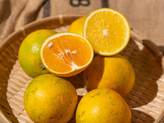 【全新品種首登場！新竹新埔 獨特風味金桔橙】金桔 × 柳丁的黃金交會，一口就被圈粉！
