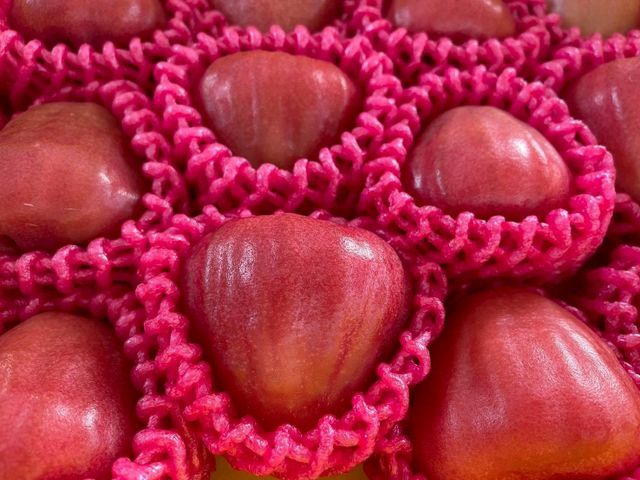 【屏東枋寮 粒頭飽滿黑珍珠蓮霧禮盒】一咬爆汁的脆甜 專為「懂吃的人」準備