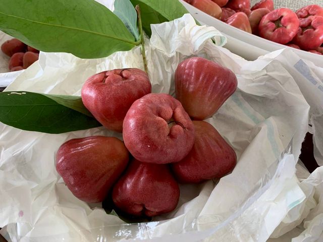 【屏東枋寮 粒頭飽滿黑珍珠蓮霧禮盒】一咬爆汁的脆甜 專為「懂吃的人」準備