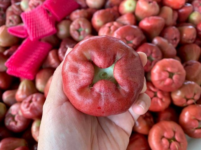 【屏東枋寮 粒頭飽滿黑珍珠蓮霧禮盒】一咬爆汁的脆甜 專為「懂吃的人」準備