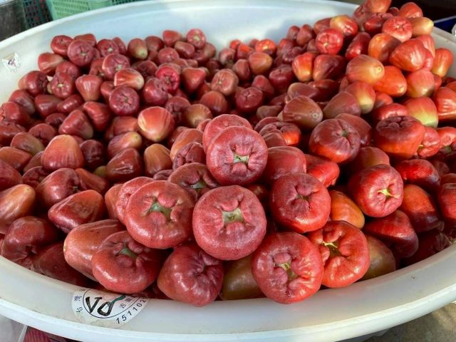 【屏東枋寮 粒頭飽滿黑珍珠蓮霧禮盒】一咬爆汁的脆甜 專為「懂吃的人」準備