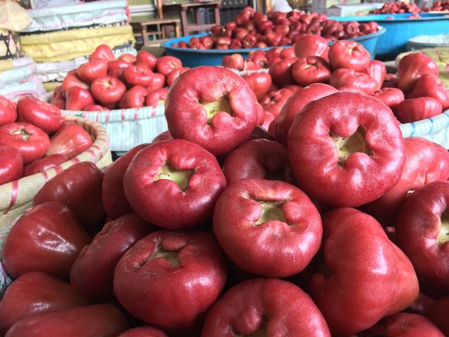 【屏東枋山 自然熟成黑珍珠蓮霧】這輩子一定要吃一次的海味甜