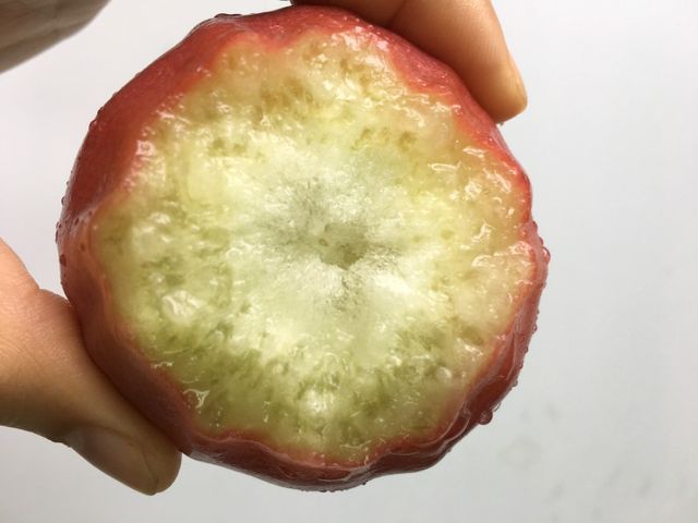 【屏東枋山 自然熟成黑珍珠蓮霧】這輩子一定要吃一次的海味甜