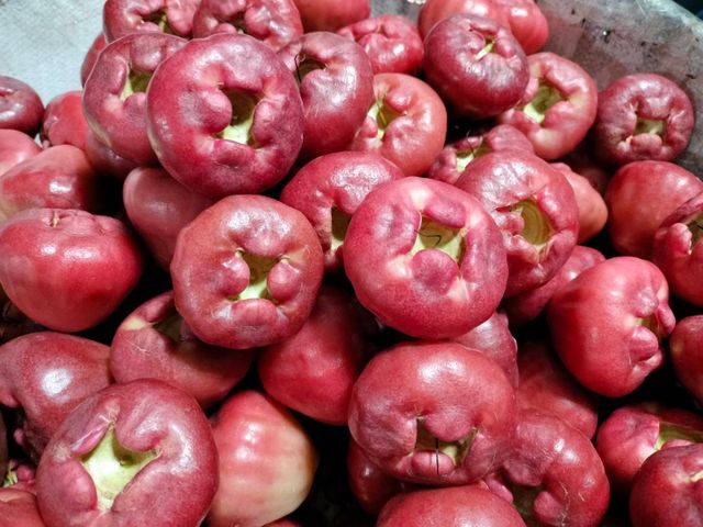 【屏東枋山 自然熟成黑珍珠蓮霧】這輩子一定要吃一次的海味甜