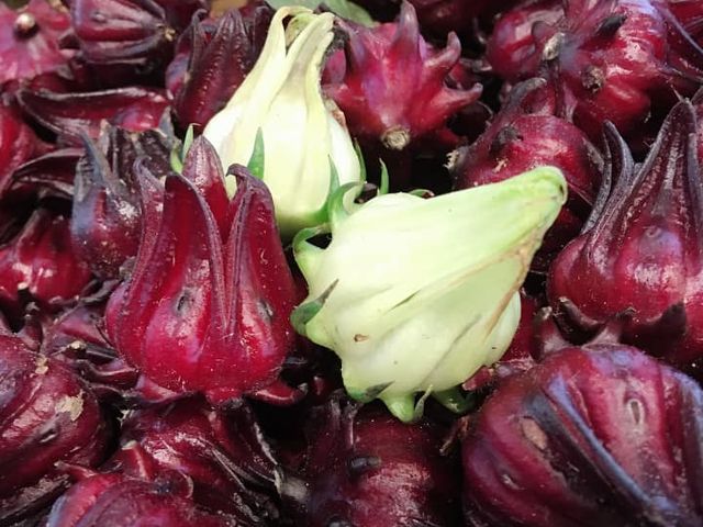 【阿金姐 洛神花果乾一包130g 】低糖配方的酸甘甜 客家的老味道