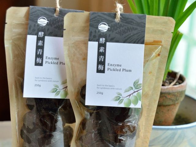 【限量！大地酵素 酵素青梅 5包(再送 1包)】酵素梅子酸Q解膩 不含防腐劑與人工色素