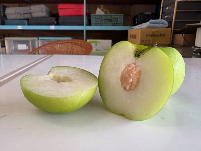 【高雄六龜 雪麗蜜棗 5斤禮盒】荖濃溪畔職人栽培 一吃就懂的脆甜等級