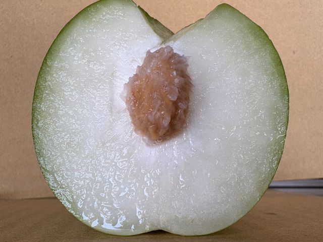 【高雄六龜 雪麗蜜棗 5斤禮盒】荖濃溪畔職人栽培 一吃就懂的脆甜等級