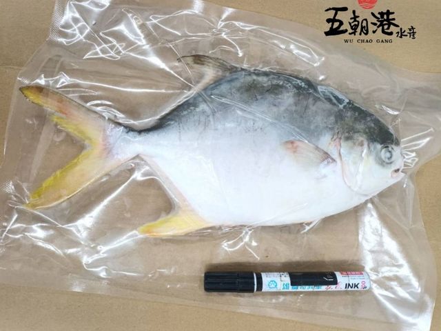 【金鯧開運烏鮑雙豐收禮盒(附提袋) 】黃金鯧、一口烏、一口鮑