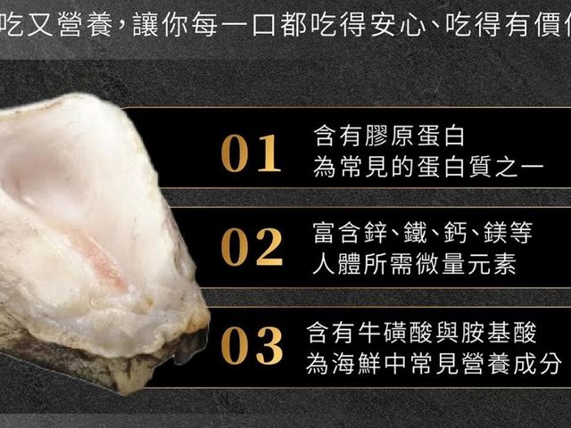 【智利生鮑魚1kg】南美洲海域智利鮑魚｜鮮凍原味・一口爆海味