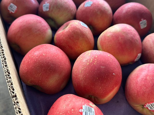 【贈藍莓半箱！美國富士蘋果半箱(36顆)】#72等級 果肉脆甜多汁