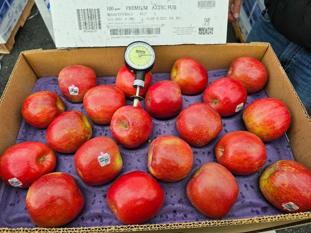 【贈藍莓半箱！美國富士蘋果半箱(36顆)】#72等級 果肉脆甜多汁
