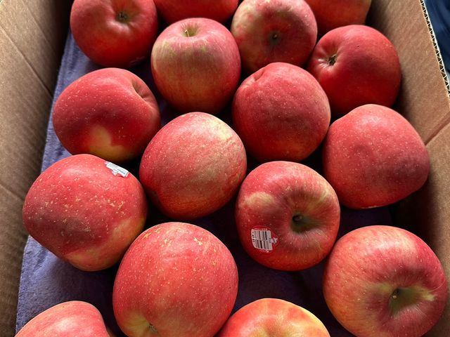 【贈藍莓半箱！美國富士蘋果半箱(36顆)】#72等級 果肉脆甜多汁