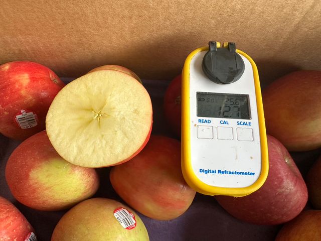 【贈藍莓半箱！美國富士蘋果半箱(36顆)】#72等級 果肉脆甜多汁