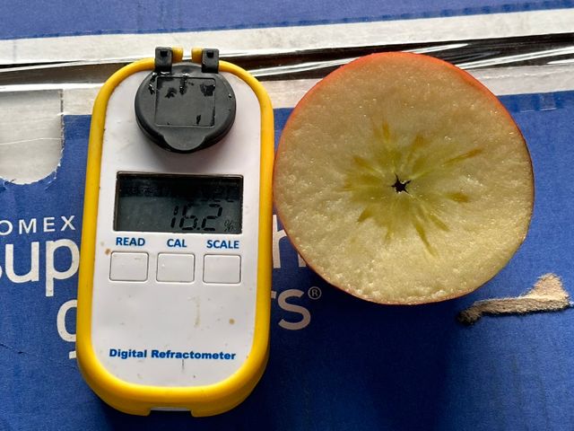 【贈藍莓半箱！美國富士蘋果半箱(36顆)】#72等級 果肉脆甜多汁