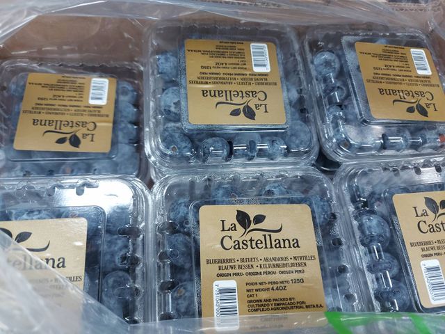 【贈藍莓半箱！美國富士蘋果半箱(36顆)】#72等級 果肉脆甜多汁