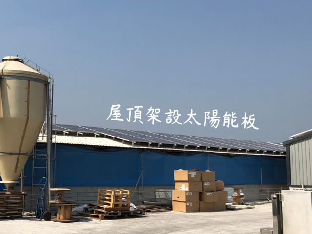 【春節限定！香草豬 腸腸久久組】四種口味 好運長久