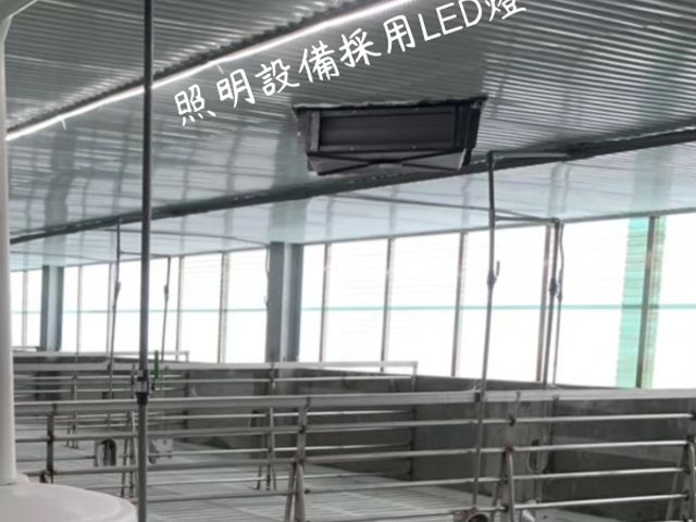 【春節限定！香草豬 蜜醬聖路易肋排】調味簡單純粹 100%無添加