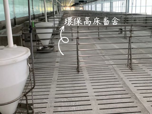 【春節限定！香草豬 蜜醬聖路易肋排】調味簡單純粹 100%無添加