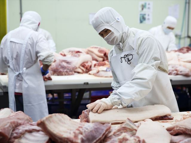 【春節限定！香草豬 吉食潮饗組】肋排 x 獅子頭 中西合璧