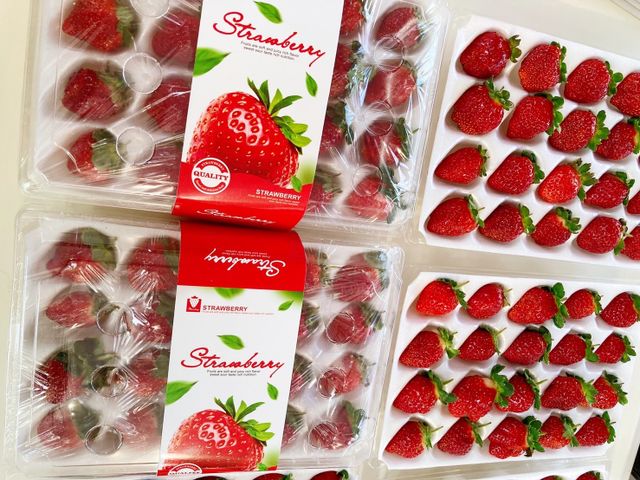 【搶先預購｜霸氣甜心！無毒黑鑽草莓(15-20入)ｘ2盒】獨特新品種！果肉紮實飽滿、香氣濃郁～